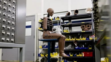 How do crash test dummies work? See how they’re made : NPR