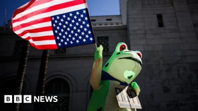 How frogs went from right-wing meme to anti-ICE protest symbol