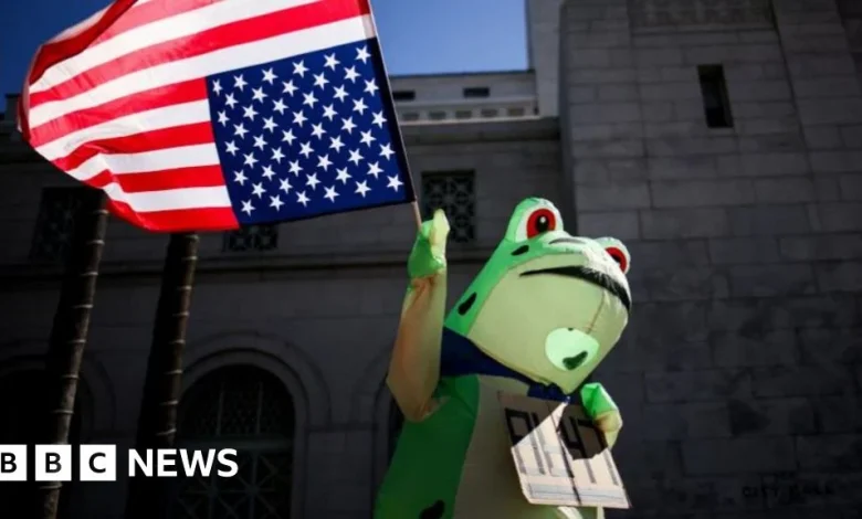 How frogs went from right-wing meme to anti-ICE protest symbol