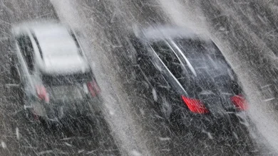 How much snow fell across Minnesota during the holiday blizzard? See the latest totals.