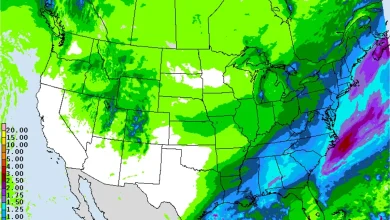 How much snow will Memphis get? See timing, forecast amid winter weather advisory