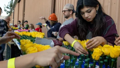 How the Rose Parade is responding to rain in forecast