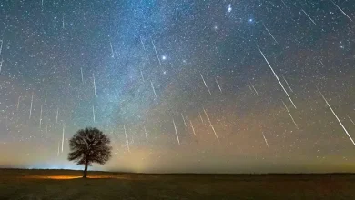 How to Watch the Ursids Meteor Shower—the Last of the Year
