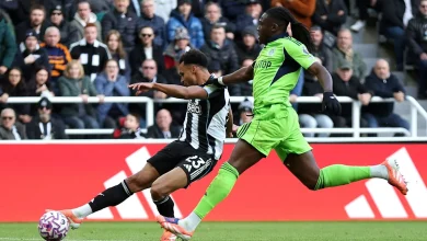 How to watch Newcastle United vs Fulham: TV channel, kick-off time & team news