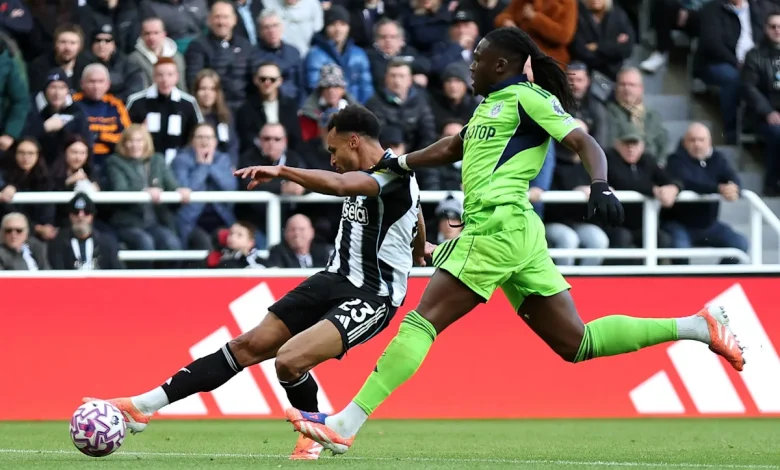 How to watch Newcastle United vs Fulham: TV channel, kick-off time & team news