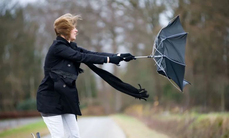 Howling wind gusts through DC area as temperatures tumble Monday evening