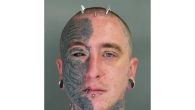 Human remains seller connected to Harvard Medical School thefts sentenced to 6 years in prison