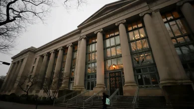 ICE Arrests HLS Visiting Professor After October Shooting Incident | News