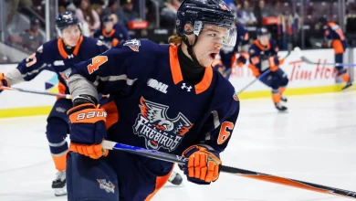 ICEDOGS TRADE HE, ACQUIRE HULL AND PICKS FROM FIREBIRDS