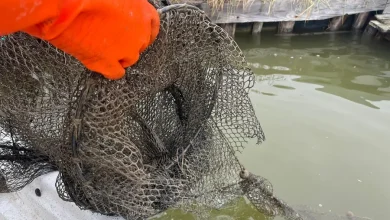 Ignoti danneggiano le attrezzature da pesca in dotazione al Parco del Delta del Po: la sdegno della Regione
