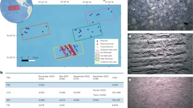 Impacts of an industrial deep-sea mining trial on macrofaunal biodiversity