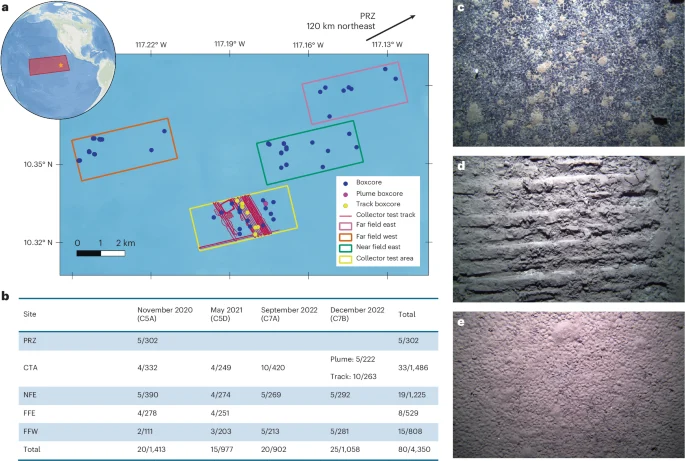 Impacts of an industrial deep-sea mining trial on macrofaunal biodiversity