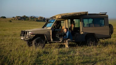 In ‘Cheetahs Up Close,’ a startling portrait of survival in the Serengeti