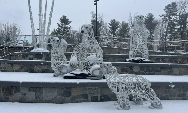 Increasing likelihood for snowfall this weekend in DC area