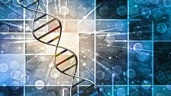 Incyte Stock Falls Despite FDA Breakthrough Therapy Fast Track For Rare Blood Cancer Drug