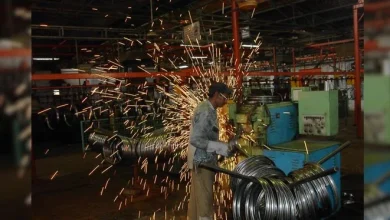 Indias Indigenisation Dilemma: Chinese Imports or Investments?