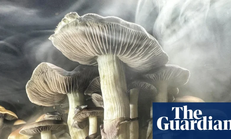 Inside the US’s psychedelic church boom, where taking drugs is legal | Drugs