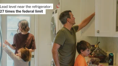 Insurers Said They Could Return Home. Our Tests Found Neurotoxins in Their Bodies.