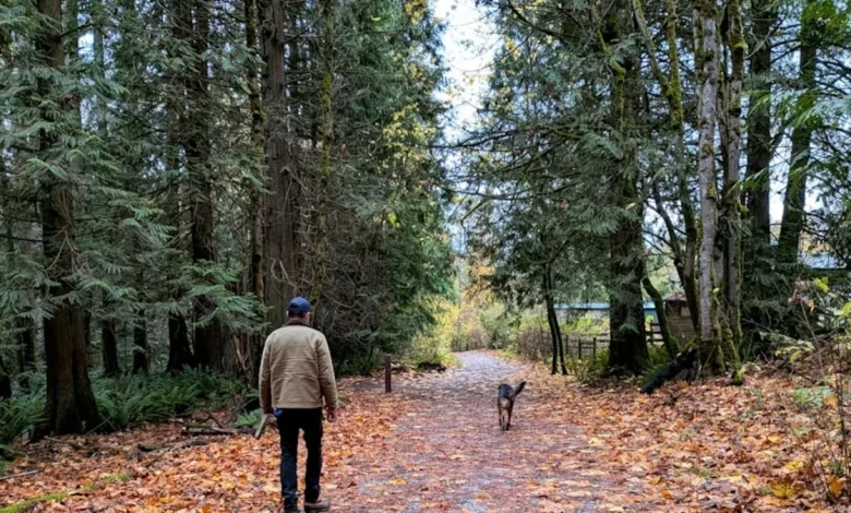 Is the Pacific Northwest ready for a wave of climate migration?
