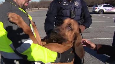 'It's a very amazing thing': DC police bloodhound helps find 2 missing people