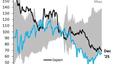 Japan's Yen Debasement - Robin J Brooks