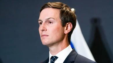 Jared Kushner's private equity firm quits Warner Bros. takeover battle