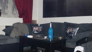 Jawnino / Surf Gang: amnesia Album Review