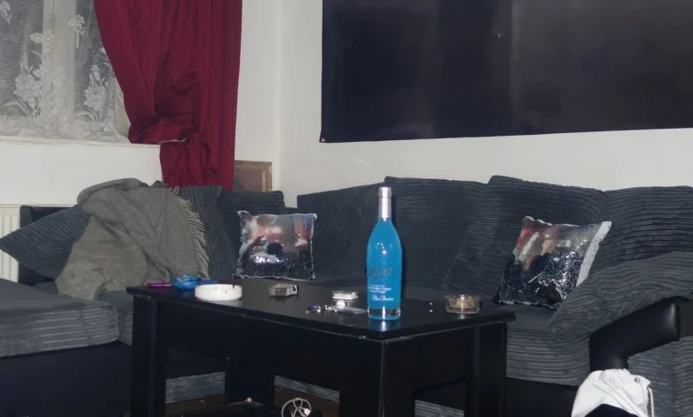 Jawnino / Surf Gang: amnesia Album Review