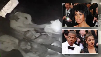Jay-Z's innocent comment to designer sparked infamous elevator clash with Beyoncé's sister