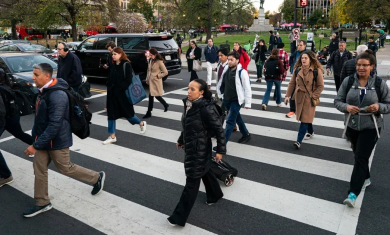 Jobs reports to finally lift fog on U.S. labor market