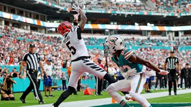 Joe Burrow Praises Tee Higgins After Bengals Wide Receiver Makes History