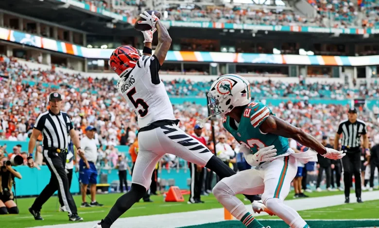 Joe Burrow Praises Tee Higgins After Bengals Wide Receiver Makes History