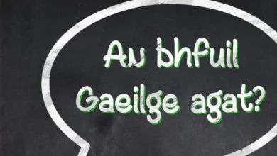 John Downing: Ireland’s first monolingual Irish dictionary is a bold mission statement