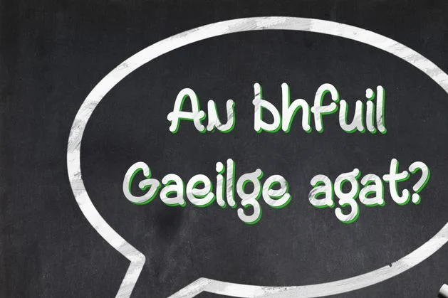 John Downing: Ireland’s first monolingual Irish dictionary is a bold mission statement
