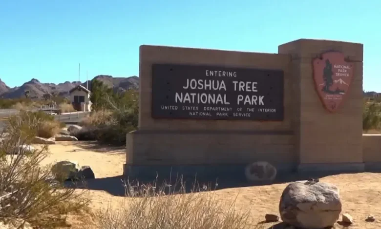 Joshua Tree National Park sees surge of visitors over Thanksgiving weekend