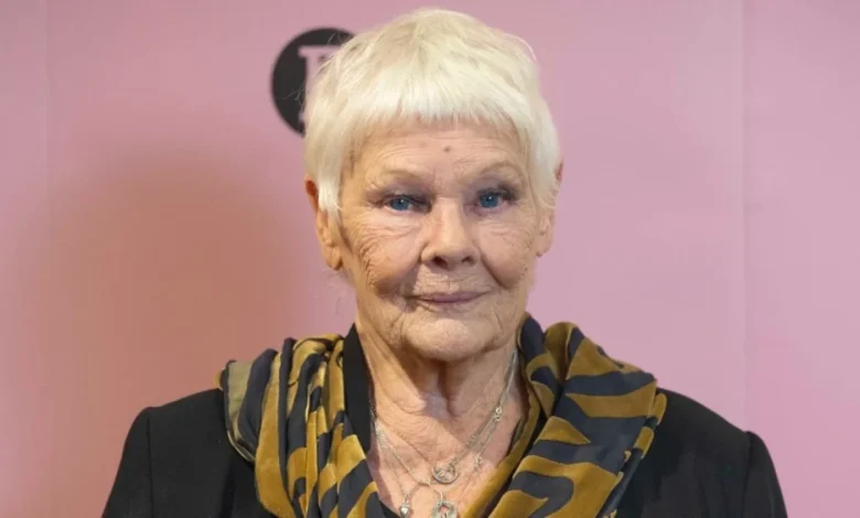 Judi Dench Says She 'Can't Recognize Anybody' Due to Eye Condition