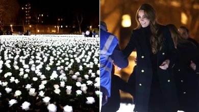 Kate praises illuminated garden that's helped raise £1.6m for hospital that treated her