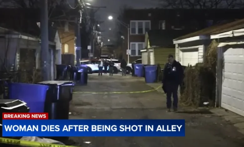 Kayla S. Williams killed: Woman shot, killed while in South Side alley on Harvard Ave identified by officials, Chicago police say