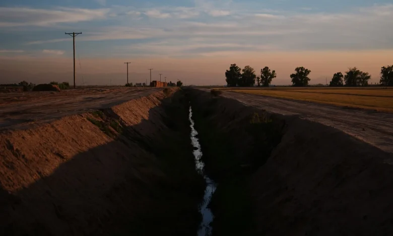 Kerri Ann Abatti killed: California farmer Michael Abatti arrested on suspicion of murder in wife's death in Arizona