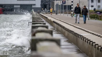 King Tides to Flood Bay Area Shorelines This Week. Here's Where and When to Safely See Them