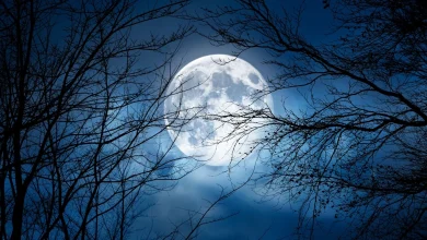 La super pleine Lune de décembre approche et c'est la dernière du genre avant 2042 : ce qu'elle nous réserve