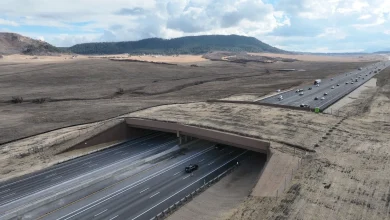 Largest wildlife overpass in North America now ready for use by elk and other critters in Douglas County