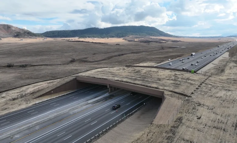 Largest wildlife overpass in North America now ready for use by elk and other critters in Douglas County