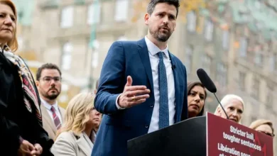 Liberals adding femicide, pornographic deepfakes to Criminal Code