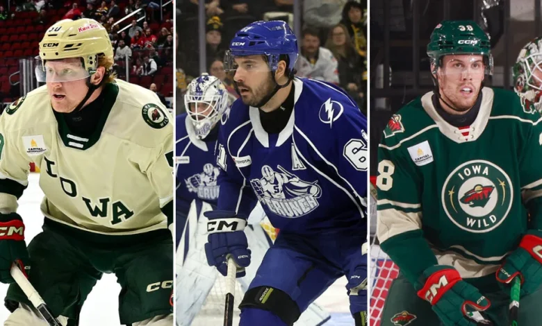 Lightning, Wild make trade | TheAHL.com
