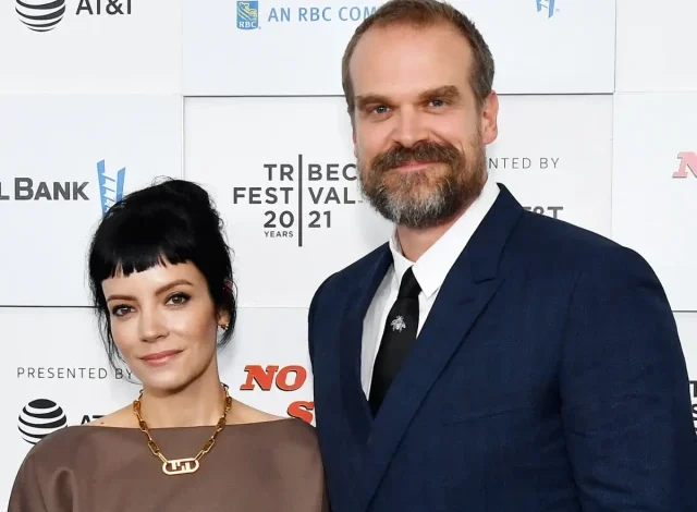 Lily Allen’s new album leaves David Harbour feeling blindsided after revealing lyrics on marriage turmoil