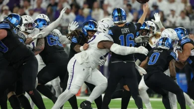 Lions, Vikings Week 17 snap counts: OL, Safeties unable to adapt to change