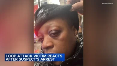 Loop puncher Chicago news: Marlon Miller ordered detained after alleged attacks, some while wearing ankle monitor, officials say