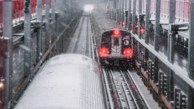 MTA Weekender: December 26-29, 2025