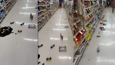 Magnitude 4.7 earthquake hits near Susanville California